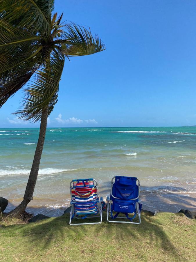 Apartamento Blue Leaf By The Sea Luquillo Exterior foto