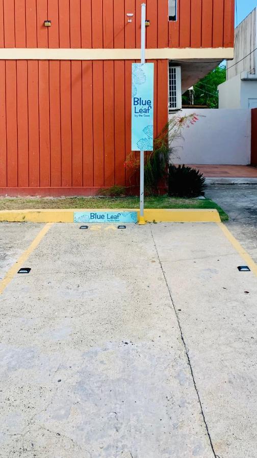 Apartamento Blue Leaf By The Sea Luquillo Exterior foto